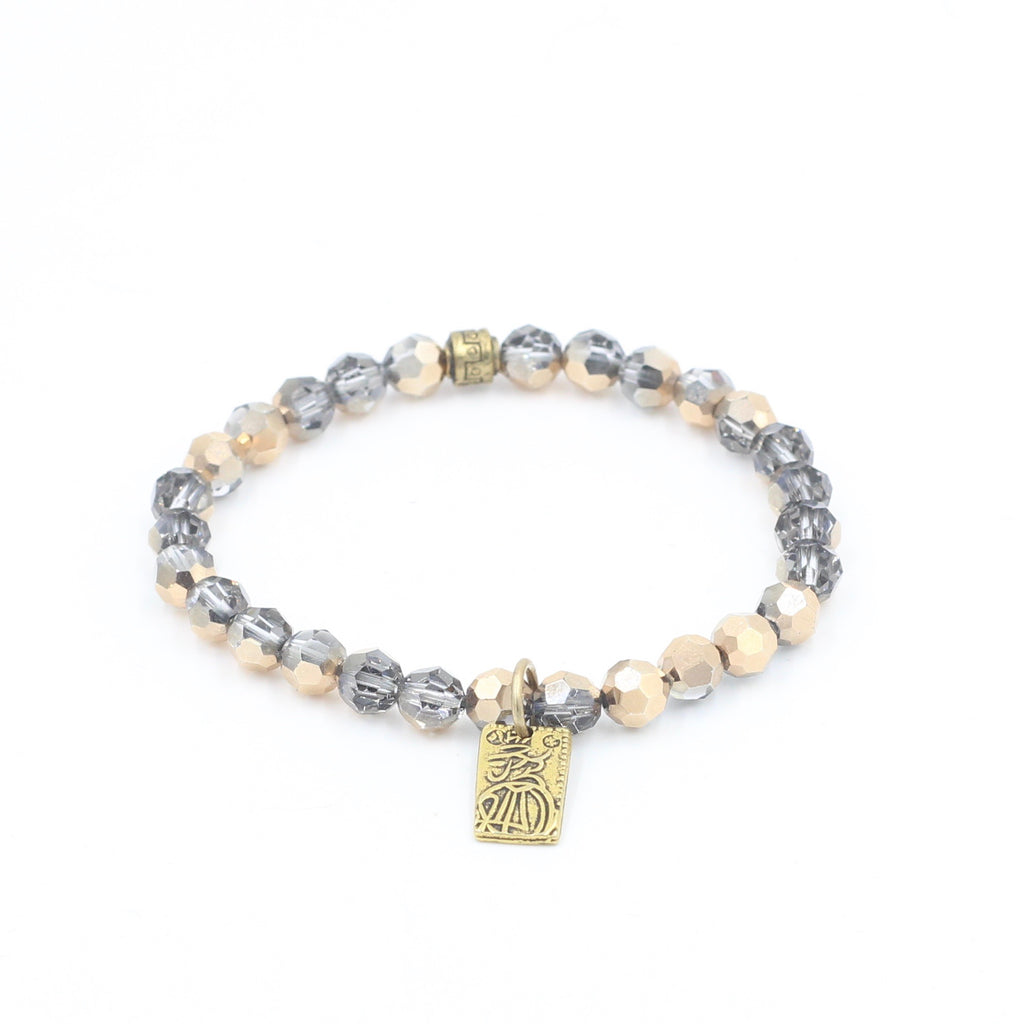Silver & Gold Crystal Bracelet with Money Charm